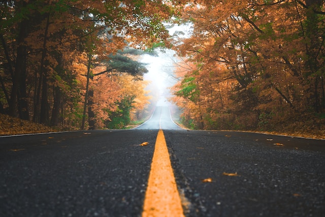 Long Empty Road