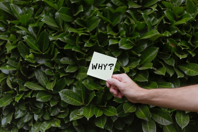 Ask A Question on LinkedIn Posts