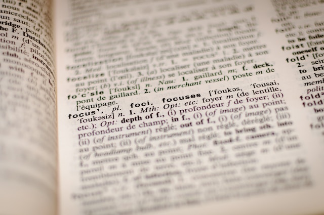 Focussed Human Proofreaders and Editors